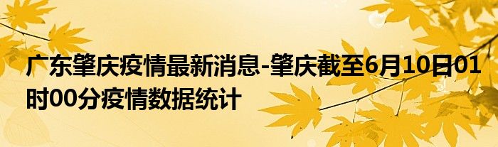 广东省肇庆市新型肺炎人数动态分析