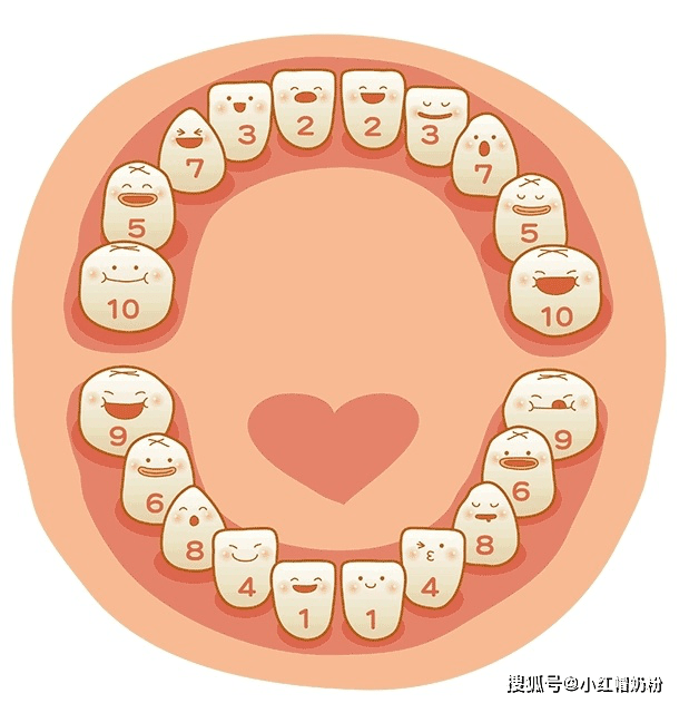 五个月宝宝会长牙吗，婴幼儿牙齿生长规律解析