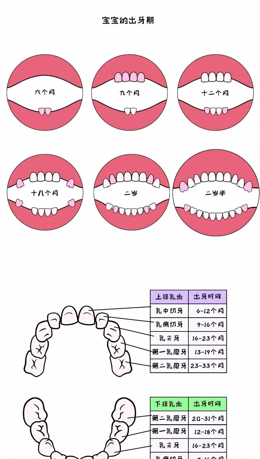 五个月婴儿出牙，成长的新里程碑