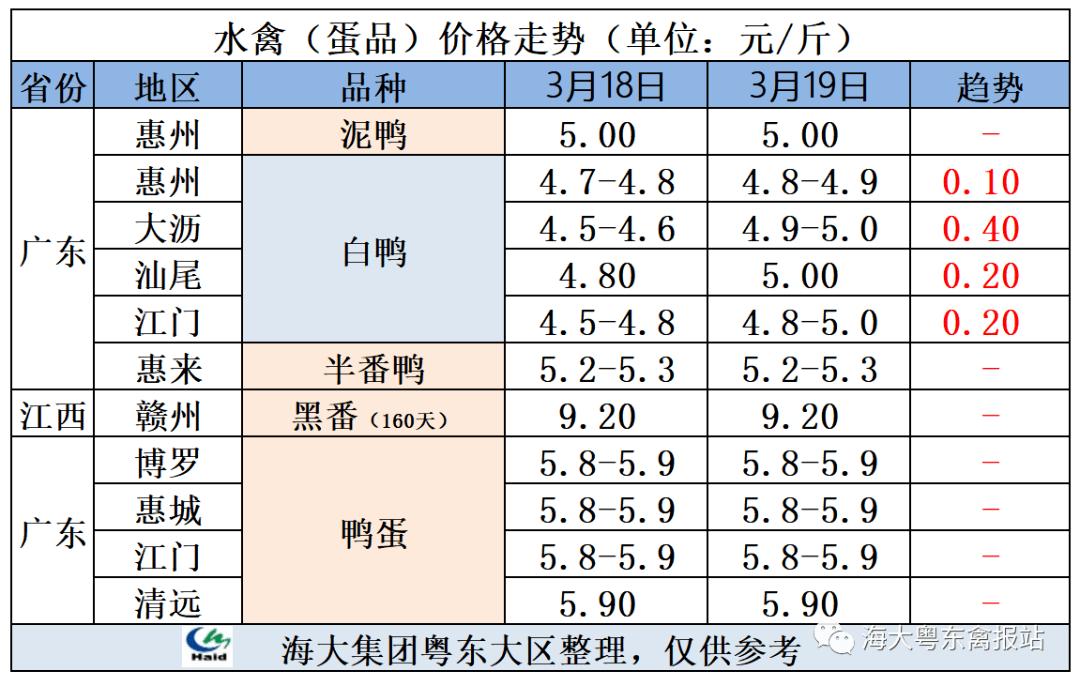 广东省鸭蛋价格行情分析