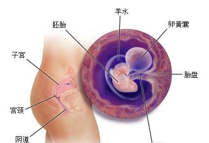 月经一个月来两次是正常的吗？解读月经周期与异常现象