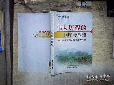 广东省在变革与发展中的新篇章——2019年回顾与展望