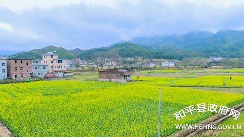 广东省河源市和平县，自然美景与人文底蕴的完美融合