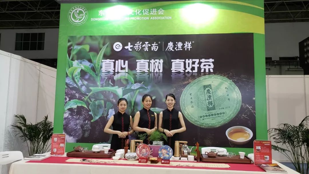 广东千福茶业有限公司，传承茶文化，铸就品牌辉煌