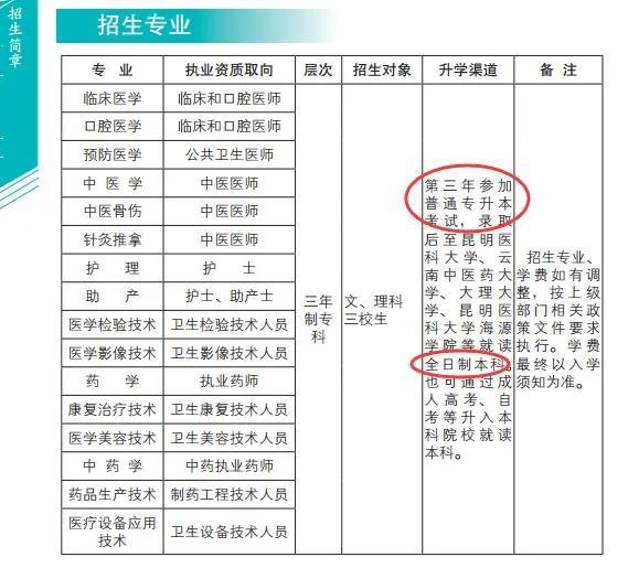 广东省专科院校录取分数解析，探寻300分背后的故事